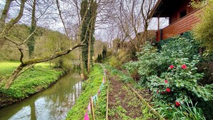 A garden with a narrow water channel, trees, and a wooden building. - 1 bedroom accommodation in Camerton, near Bath (Camerton, near Bath)