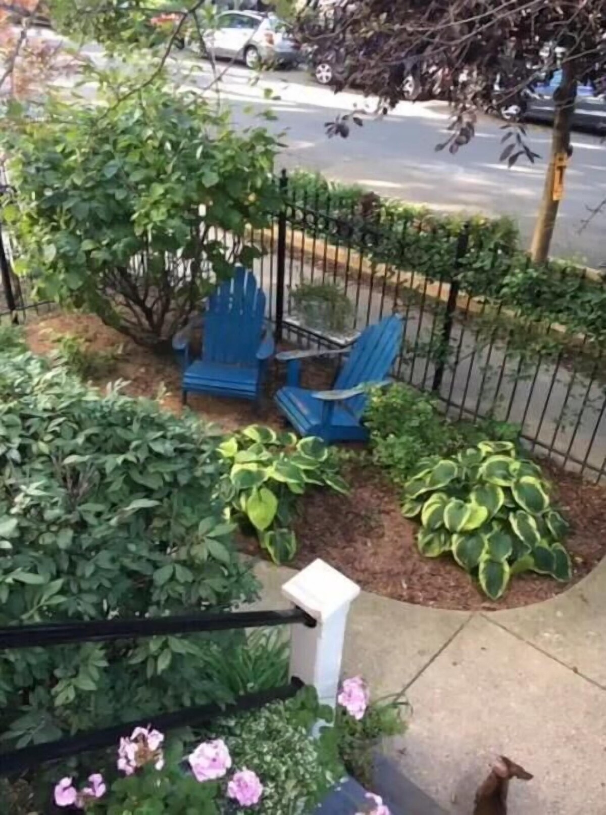 Image de profil de l’hôte