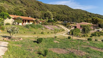 Ulkopuoli
