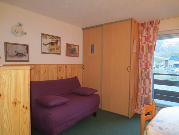 Televisión, reproductor de DVD y libros 