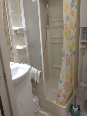 Regadera, secadora de cabello, papel de baño 