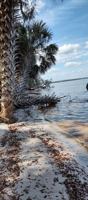 Beach - RV Rental in the Ocala National Forest, Florida. With boat ramp available. (Salt Springs)