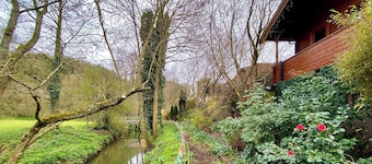 Pine Lodge - UK46279