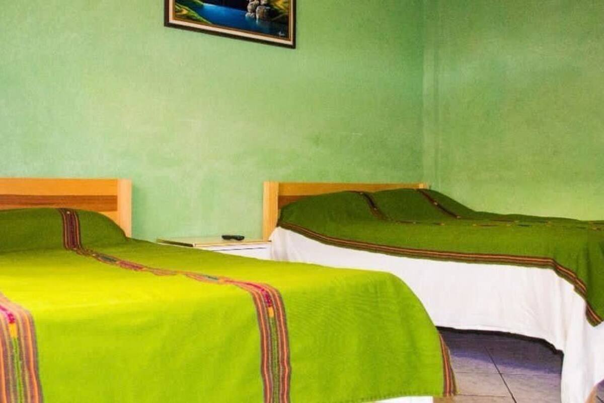 Two single beds with green bedding and wooden headboards in a room with green walls.