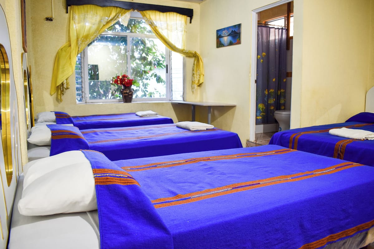 A hotel room with three beds, each with blue bedding and white pillows. There is a window with yellow curtains and a plant on the windowsill.