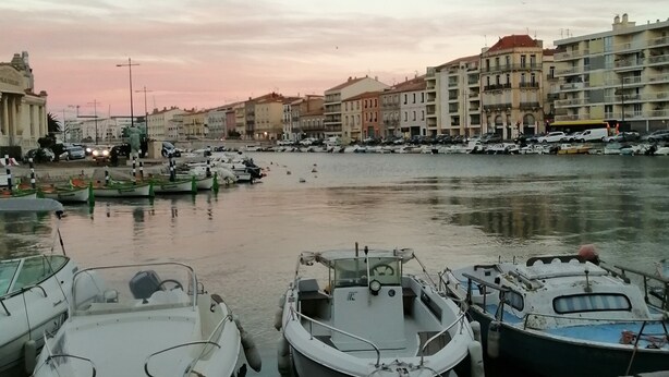 Uma marina com vários barcos atracados, uma estrada em primeiro plano e edifícios ao fundo.