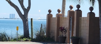 The Dolphin Flat
