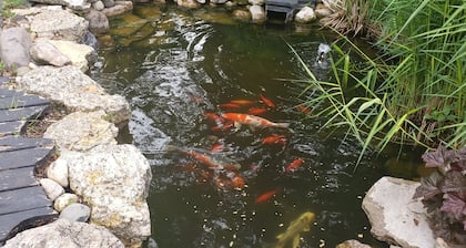 Cozy older home, zen like garden. Pet friendly. Not for people with allergies.