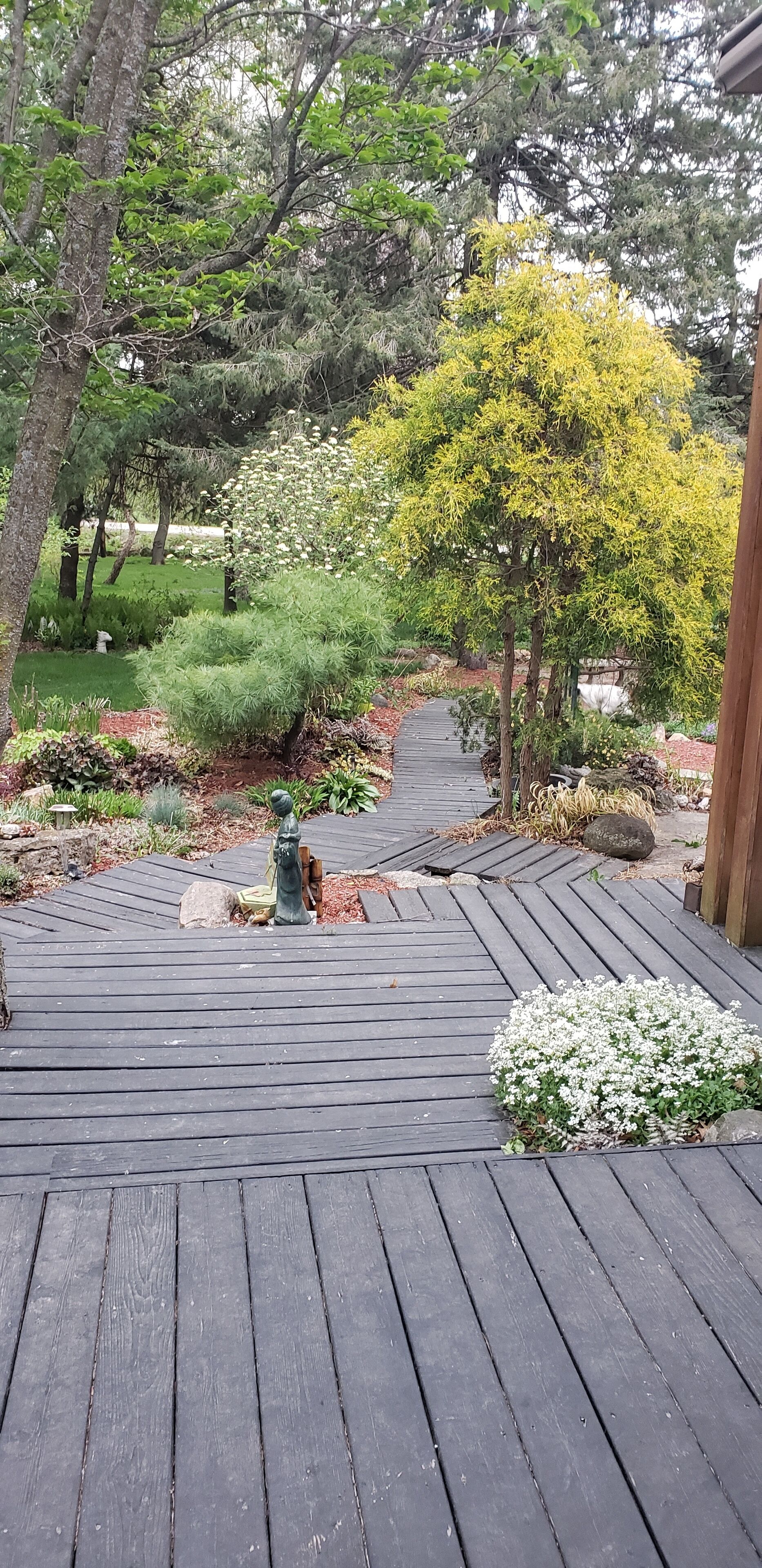 Terrain de l’hébergement 