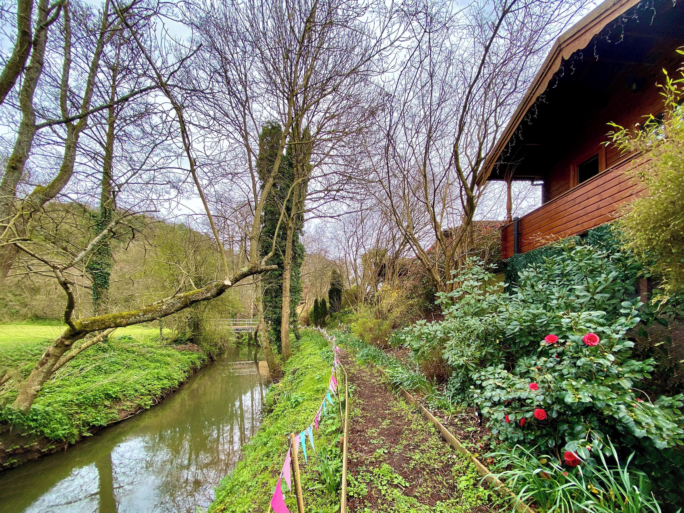 A garden with a narrow water channel, trees, and a wooden building.