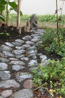 Un sendero de piedra que atraviesa un jardín con una estatua y diversas plantas.
