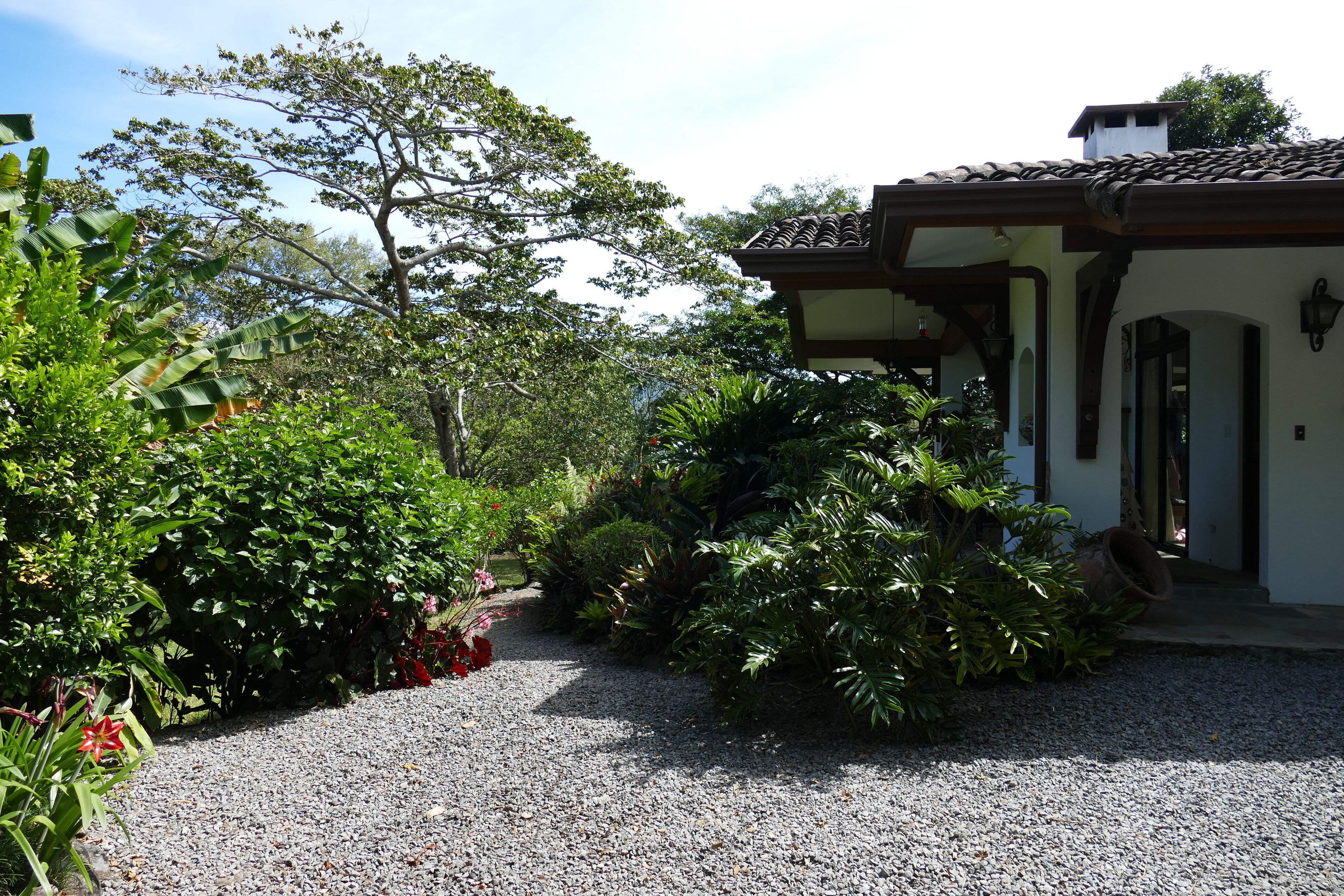 Giardino