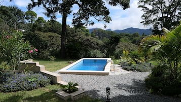 Outdoor pool, pool umbrellas, sun loungers