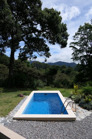 Hồ bơi ngoài trời, dù/ô trên bãi biển/hồ bơi, ghế dài tắm nắng 