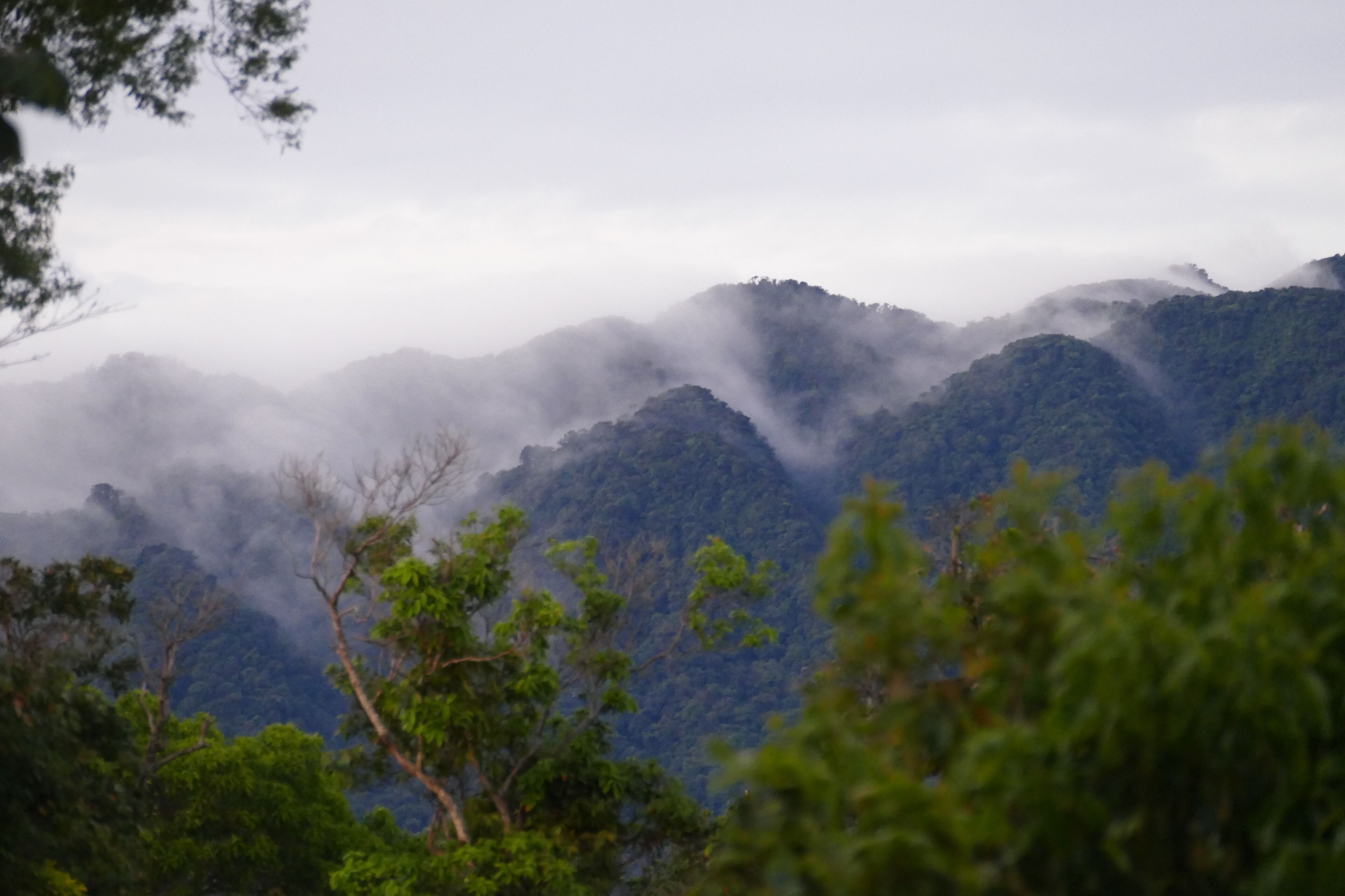 Paisagem montanhosa com floresta densa e picos cobertos por névoa.