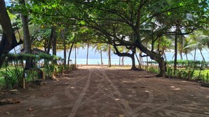 A dirt path leading to a beach with palm trees and a view of the ocean. - Na Praia Flats Maraca 108 (Ipojuca)
