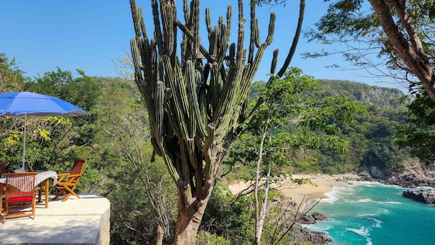 Un paisaje costero con un cactus grande, una playa y una mesa con sillas bajo un paraguas azul.