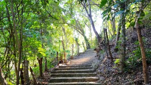 Unos escalones de piedra que suben por un sendero arbolado.