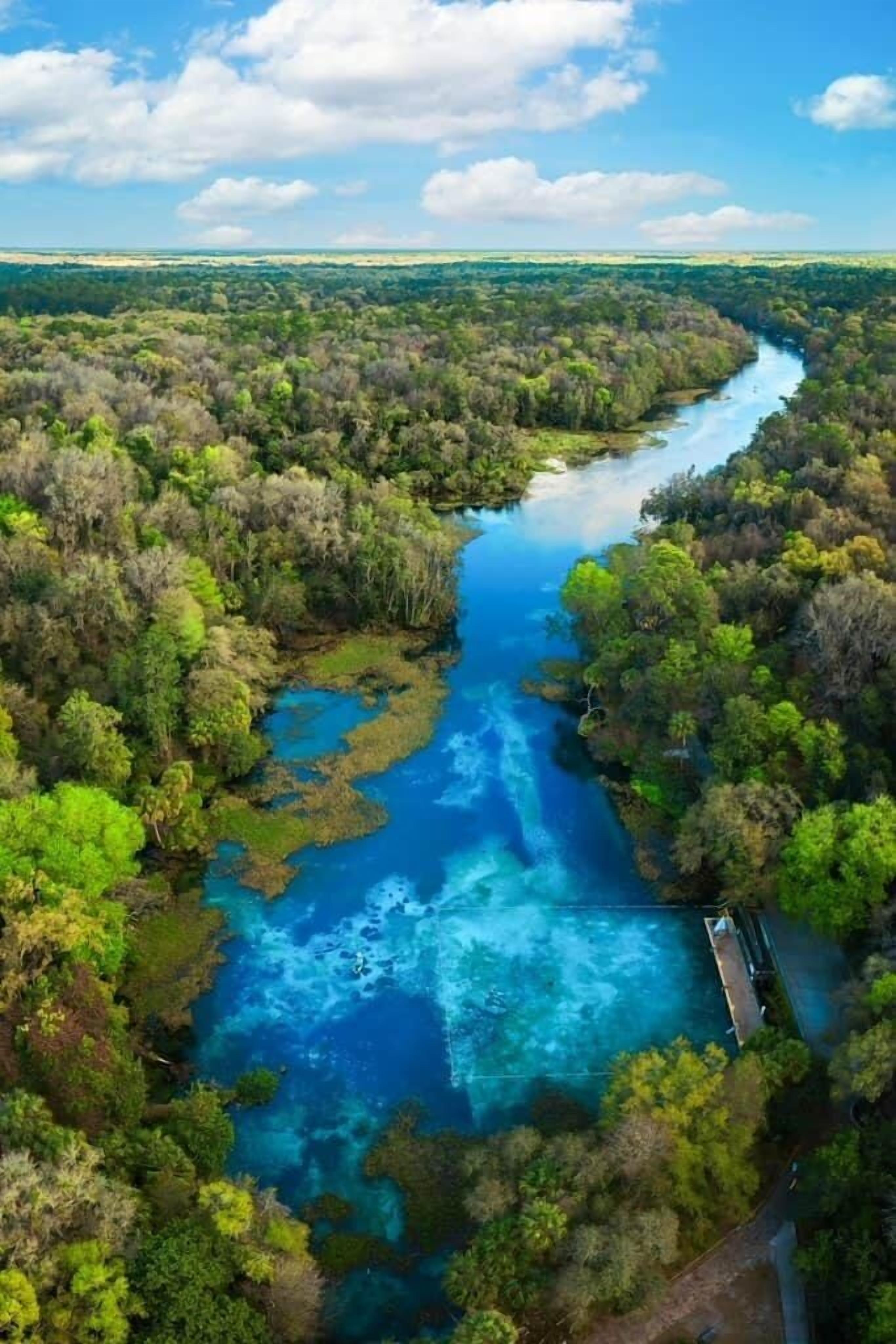 Vista aérea de un río serpenteando a través de un bosque denso bajo un cielo azul despejado.