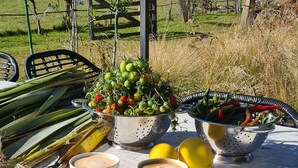 A table set outdoors with fresh vegetables, lemons, and coffee cups.
