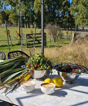 Jardines del alojamiento
