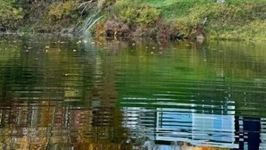 Ein modernes Haus mit einem großen Glasfenster, umgeben von herbstlich gefärbten Bäumen und einem Teich.