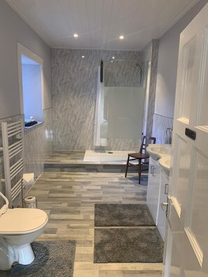 Douche, séchoir à cheveux, serviettes fournies, savon