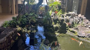Un estanque de carpas con rocas y plantas, rodeado por un edificio con balcones.