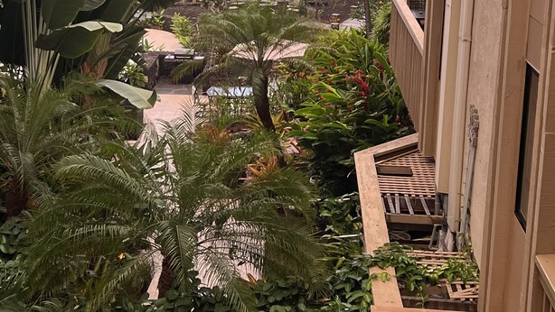 Vista de un balcón con jardín tropical, zona de piscina y vistas al océano.