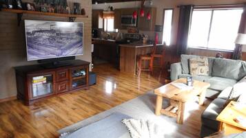 Smart TV, fireplace, books