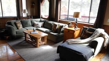 TV connectée, cheminée, livres