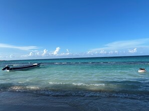 Sun loungers, beach towels - Newly Renovated!! COCO PALMS - Exclusive villa with private pool/beach access.  (Mammee Bay, Mammee Bay Estates)