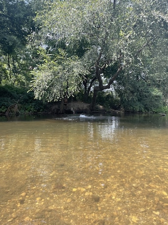 Miscellaneous. Primitive Country Camp Spot for Total Eclipse April 8, 2024! 2:38 Mins Totality