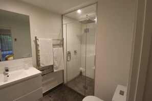 A modern bathroom with a glass-enclosed shower, a white sink, and a large mirror. - 5 minute easy walk to Queenstown, warm and spacious. (Queenstown)