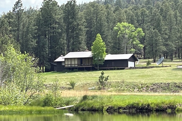 From the pond