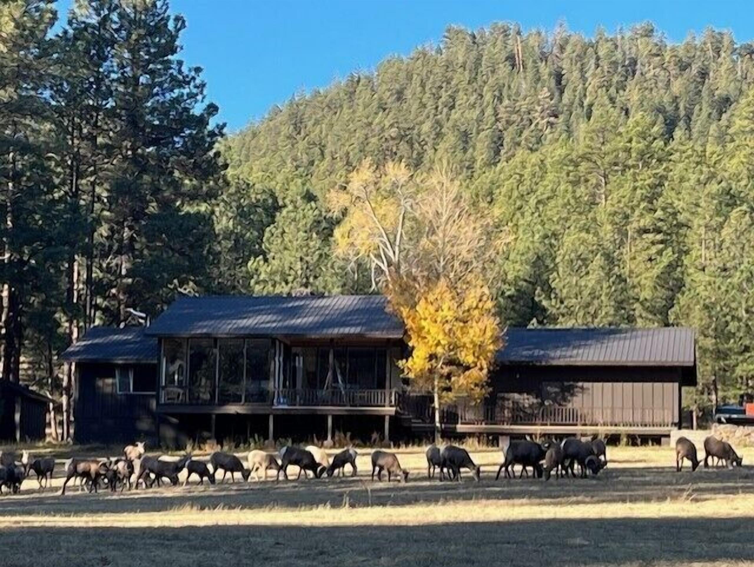Un edificio de estilo rancho con un porche amplio y un terreno cercado con animales pastando.