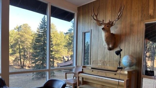 Une pièce avec un piano, une tête de cerf accrochée au mur et une vue sur les arbres à travers de grandes fenêtres.