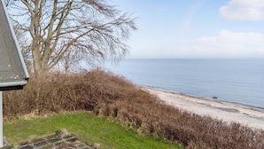 A coastal view with a sandy beach, a grassy area, and a leafless tree.