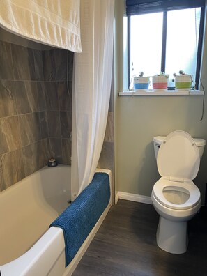 Eco-friendly toiletries, hair dryer, towels, soap