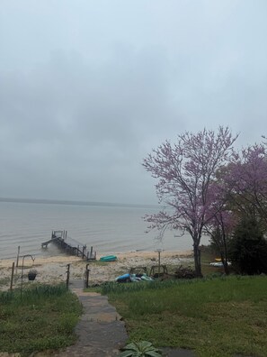 Una platja amb un pont de fusta que s'endinsa en aigües tranquil·les, envoltada d'espais verds i un arbre amb flors morades.