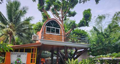Cebu Treehouse : Modern Nature Retreat