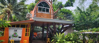Cebu Treehouse : Modern Nature Retreat