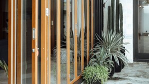 Un interior moderno con puertas de cristal, una planta de cactus y una planta en maceta.
