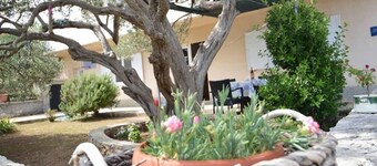 Martina - Large and Comfortable Apartments - SA2