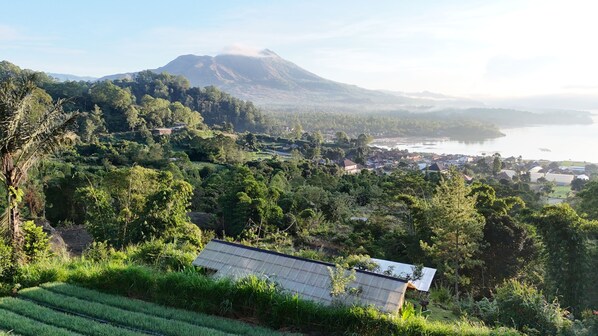 Aerial view - Calidas Hill (Kintamani)