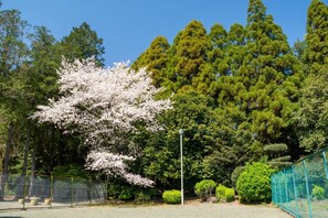 A park with a cherry blossom tree, a green fence, and various trees. - Higashi Kumamoto Business Center (Ozu)