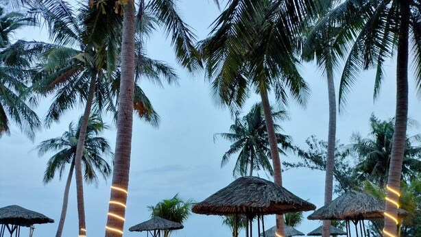 BBQ/picnic area - Garden House (Phu Quoc)