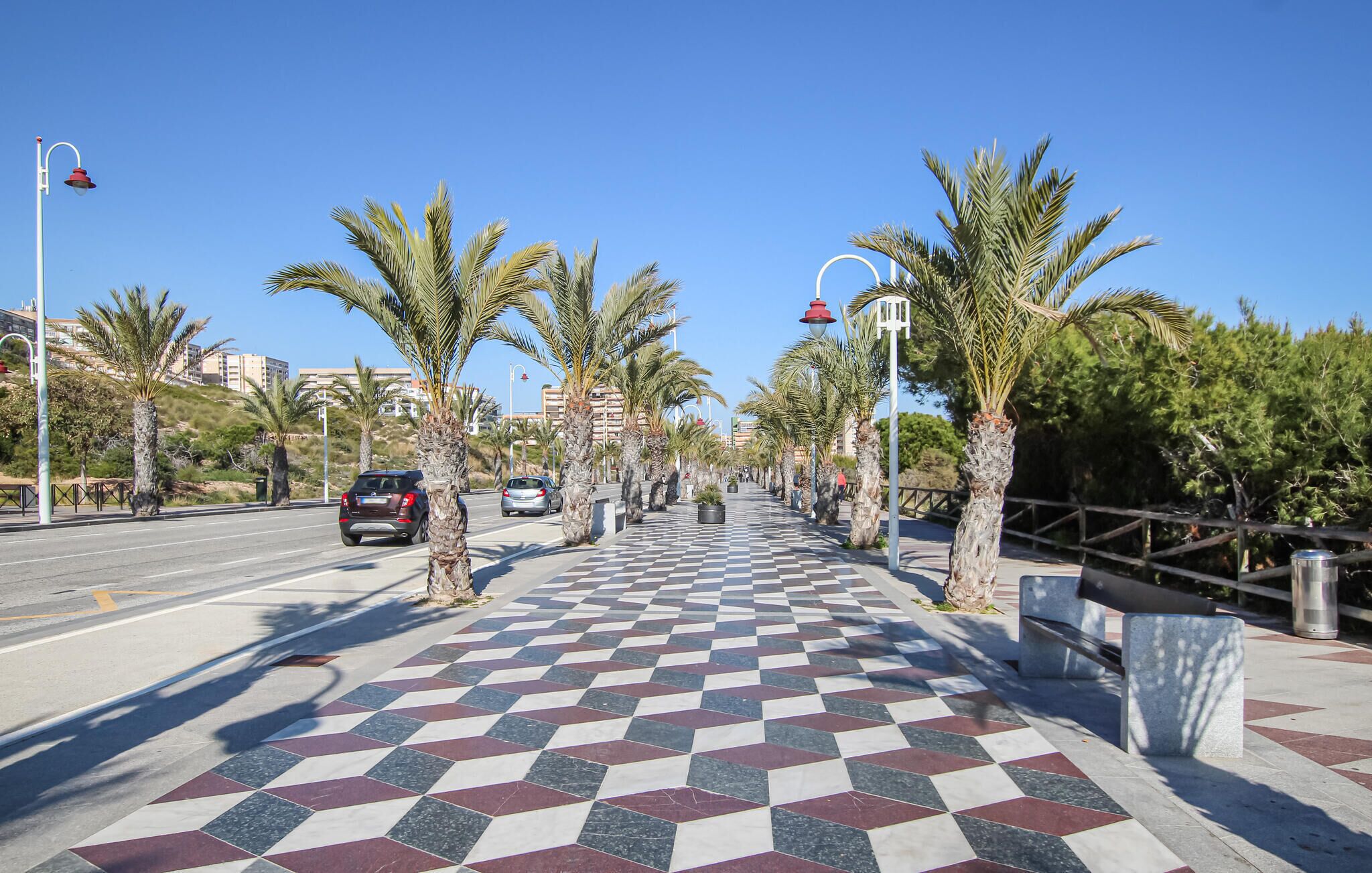 Une promenade piétonne bordée de palmiers, avec un sol pavé de motifs à carreaux et des lampadaires.