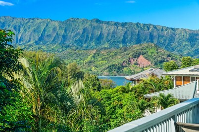 Paradise at Prettyville Kauai, waterfall & ocean View, AC, sleep 8-10, BigAloha