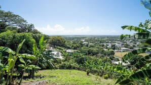 A lush green landscape with banana trees and a view of a town in the distance. - Cozy two bedroom house with a Million dollar view, Arroyo, Puerto Rico. (Arroyo)